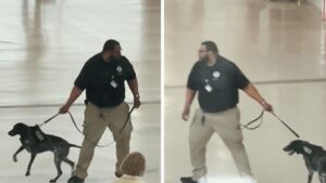 Detroit TSA Worker Suspended After Video Shows Him Yanking Dog Around